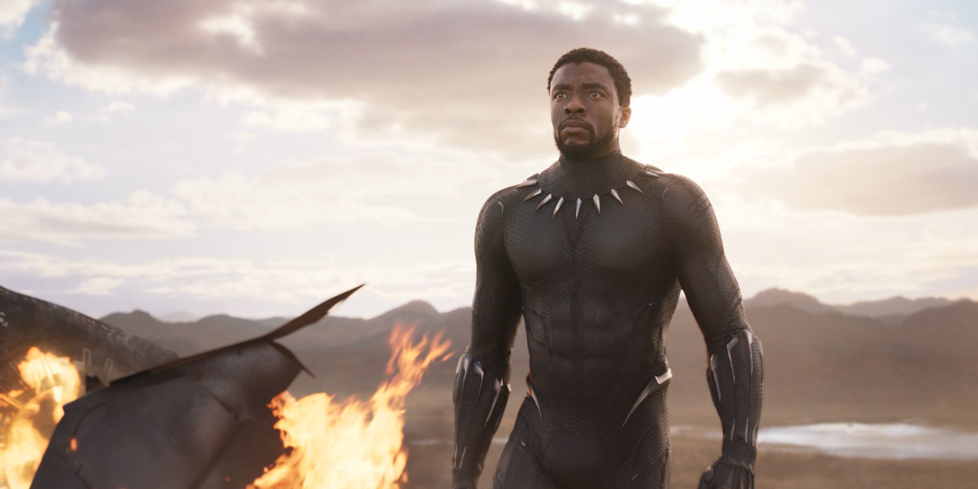 Black Panther stands amongst fire