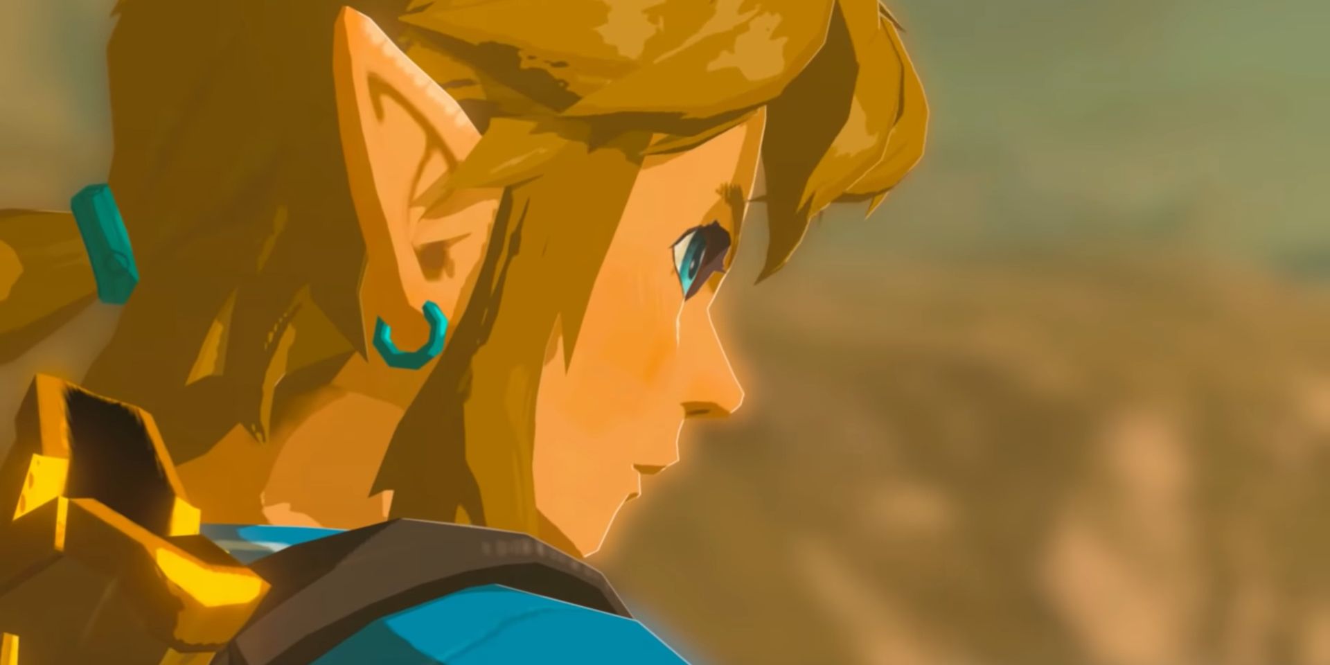 Breath Of The Wild Link Over The Shoulder