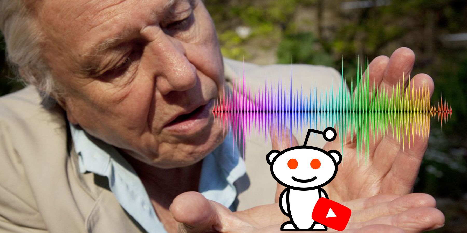 Here S An Ai Generated David Attenborough Reading Reddit Threads