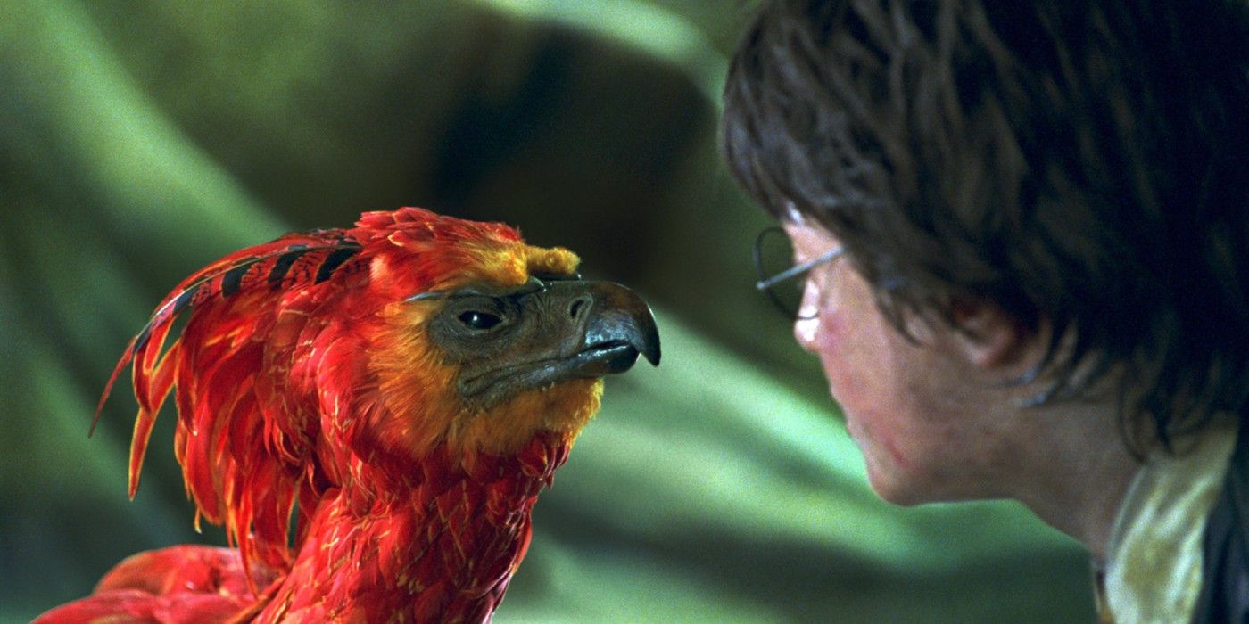 Fawkes olha para Harry Potter