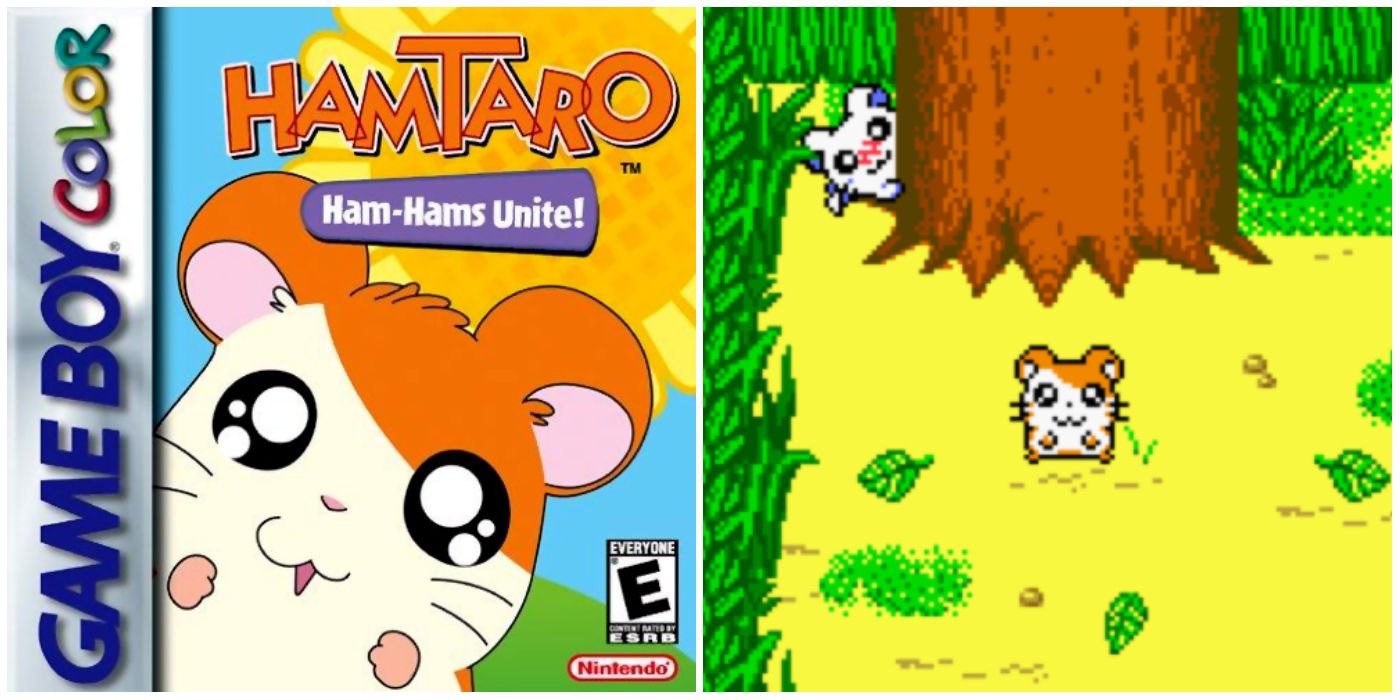 Game Boy Color Hidden Gems Hamtaro Ham Hams Unite