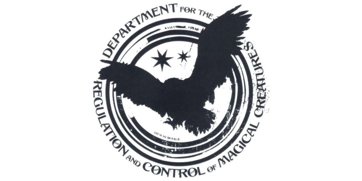 Harry Potter Dragons Ministry