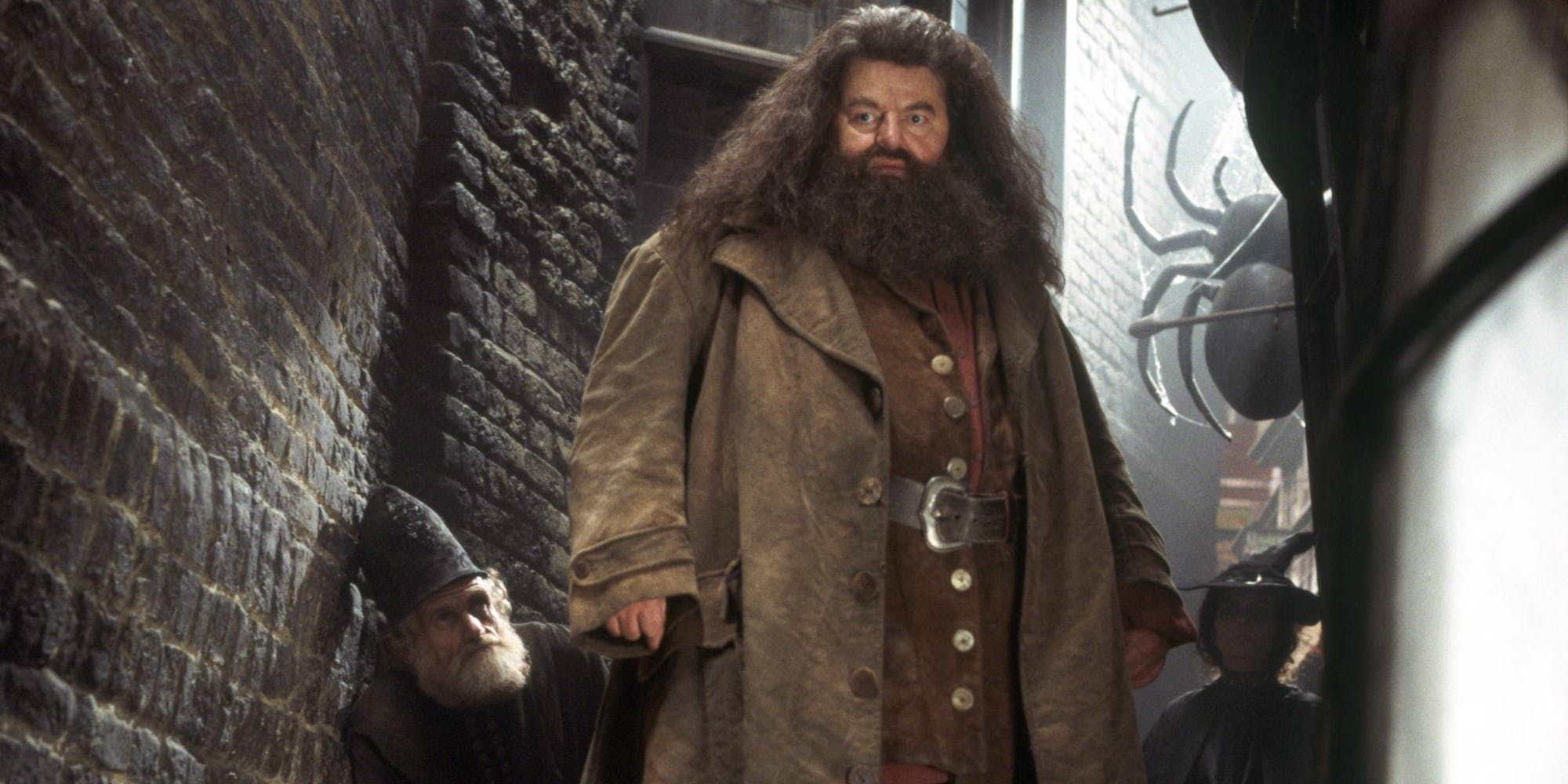 Harry Potter Rubeus Hagrid