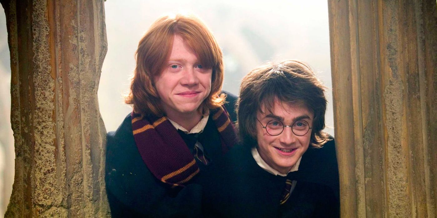 Harry Potter Ron Weasley in Goblet of Fire