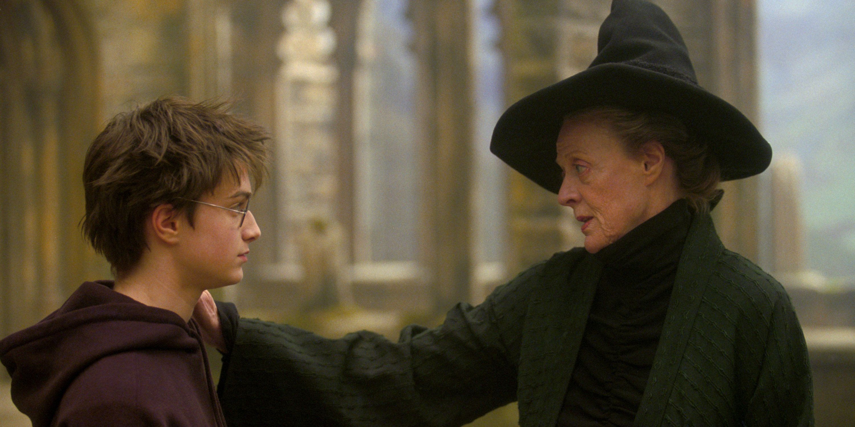 An image of McGonagall grabbing Harry by the shoulder in Harry Potter