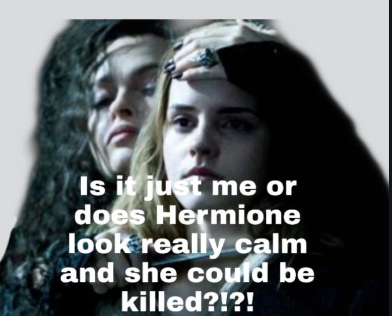 Hermione And Bellatrix