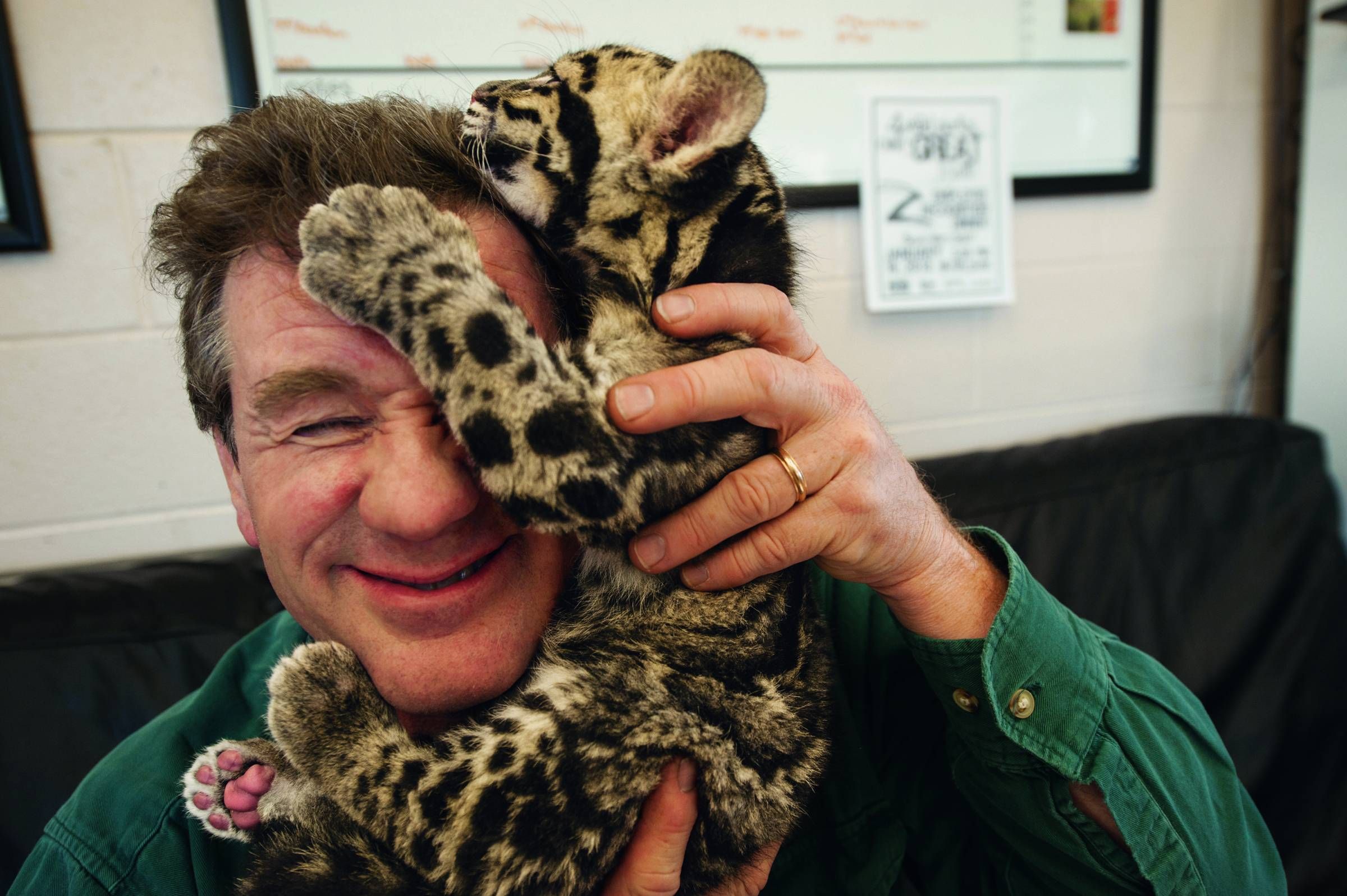 Joel Sartore Photo Ark Clouded Leopard Cub