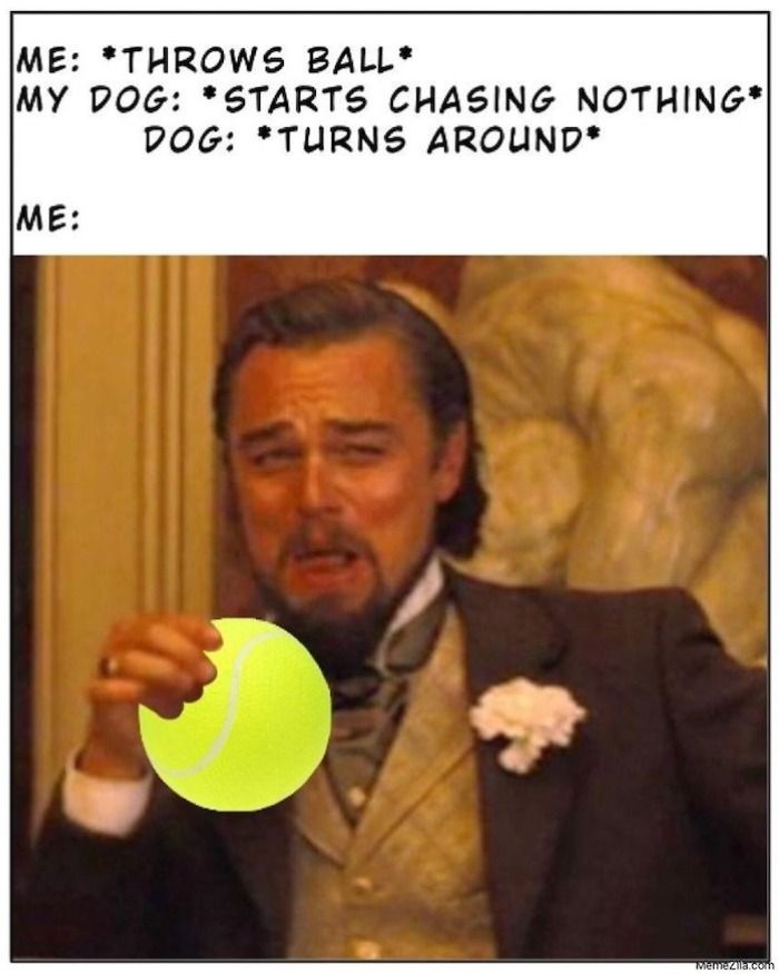 Leonardo DiCaprio Django Unchained tennis ball meme