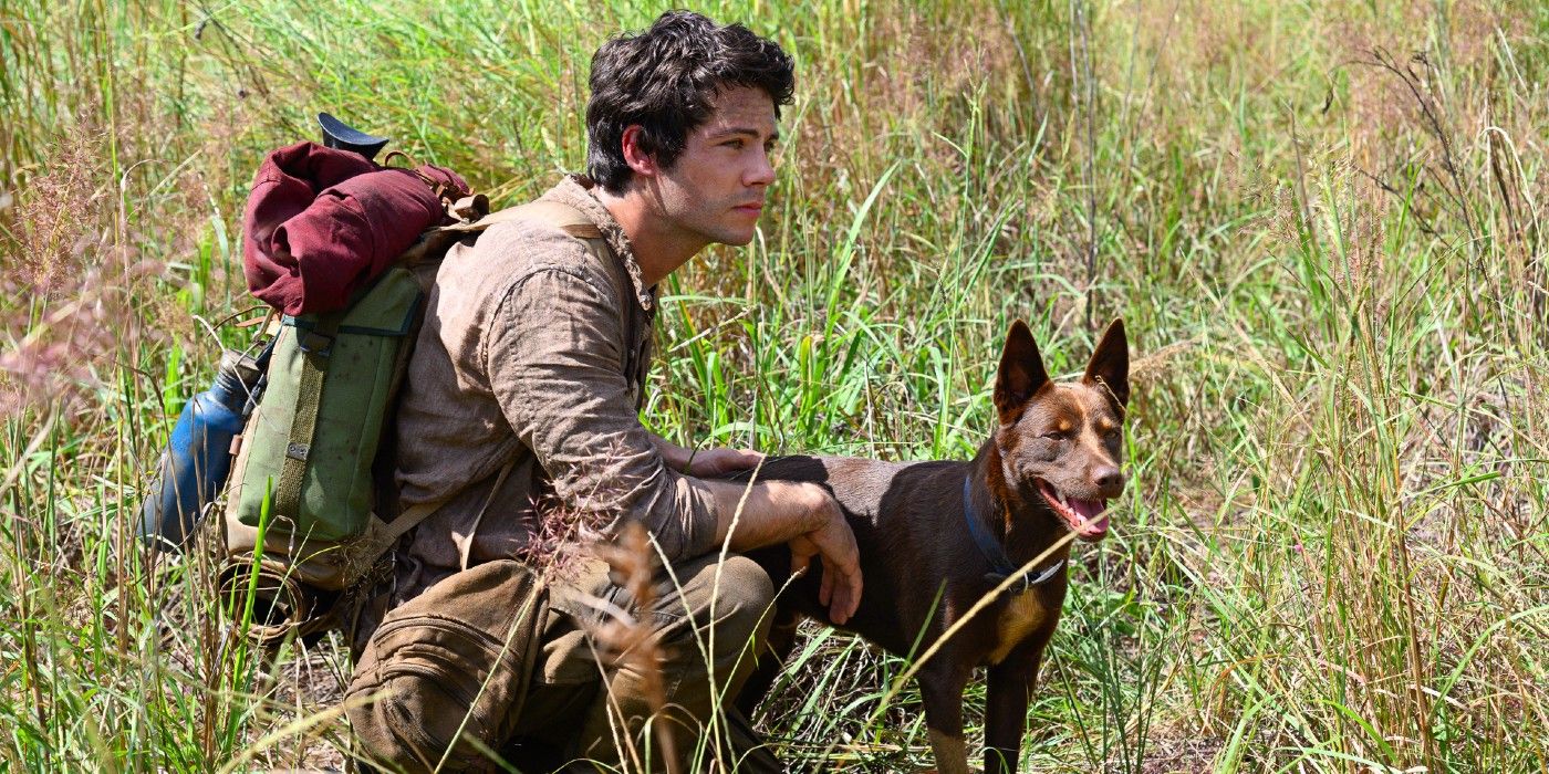 Joel crouches in the grass while Boy stands in front of him in Love and Monsters