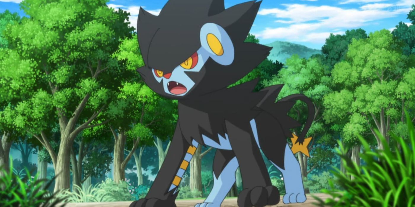 Luxray in an attack position in the Pokémon anime.
