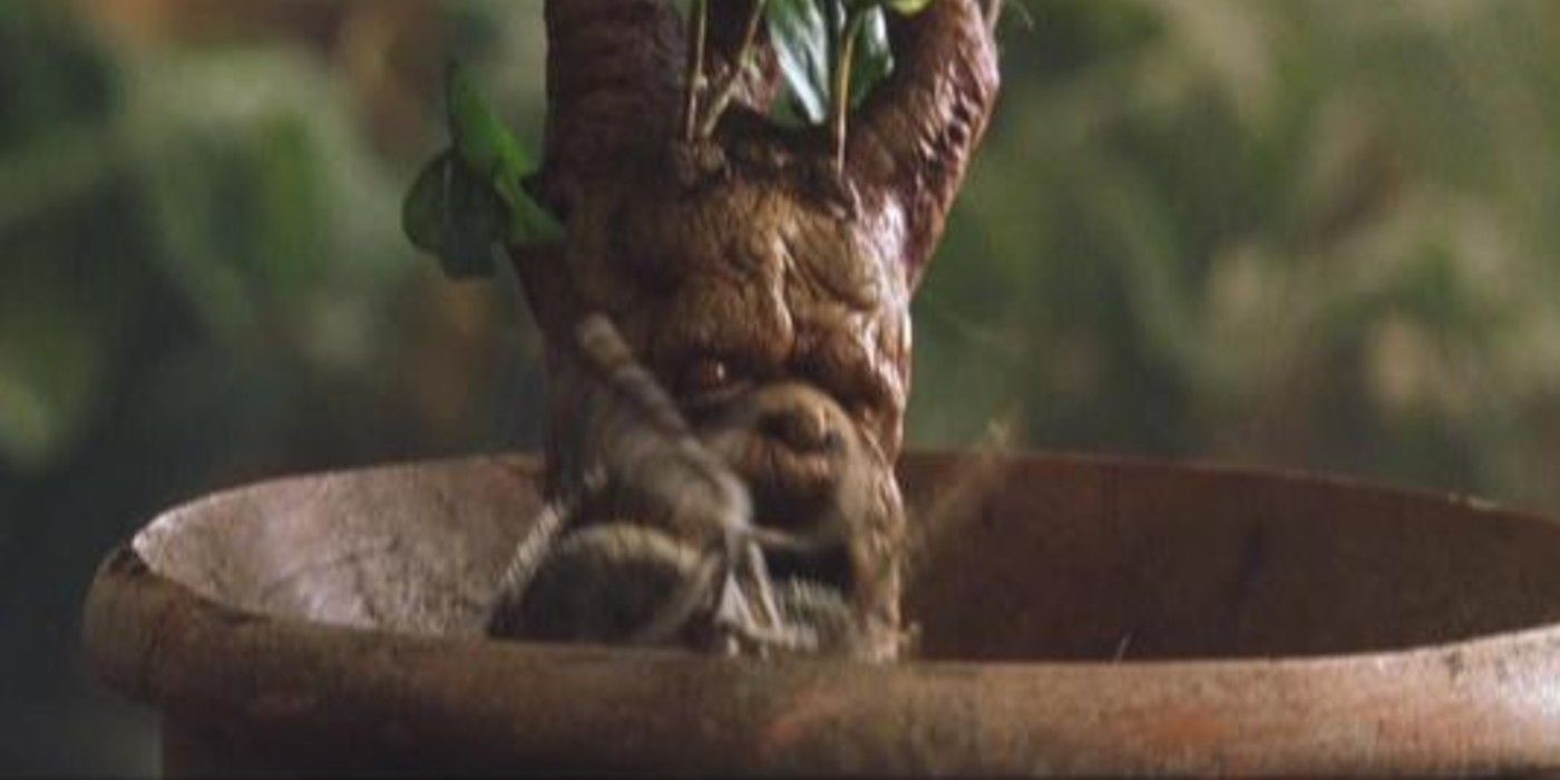 A mandrake sits in a pot in Harry Potter