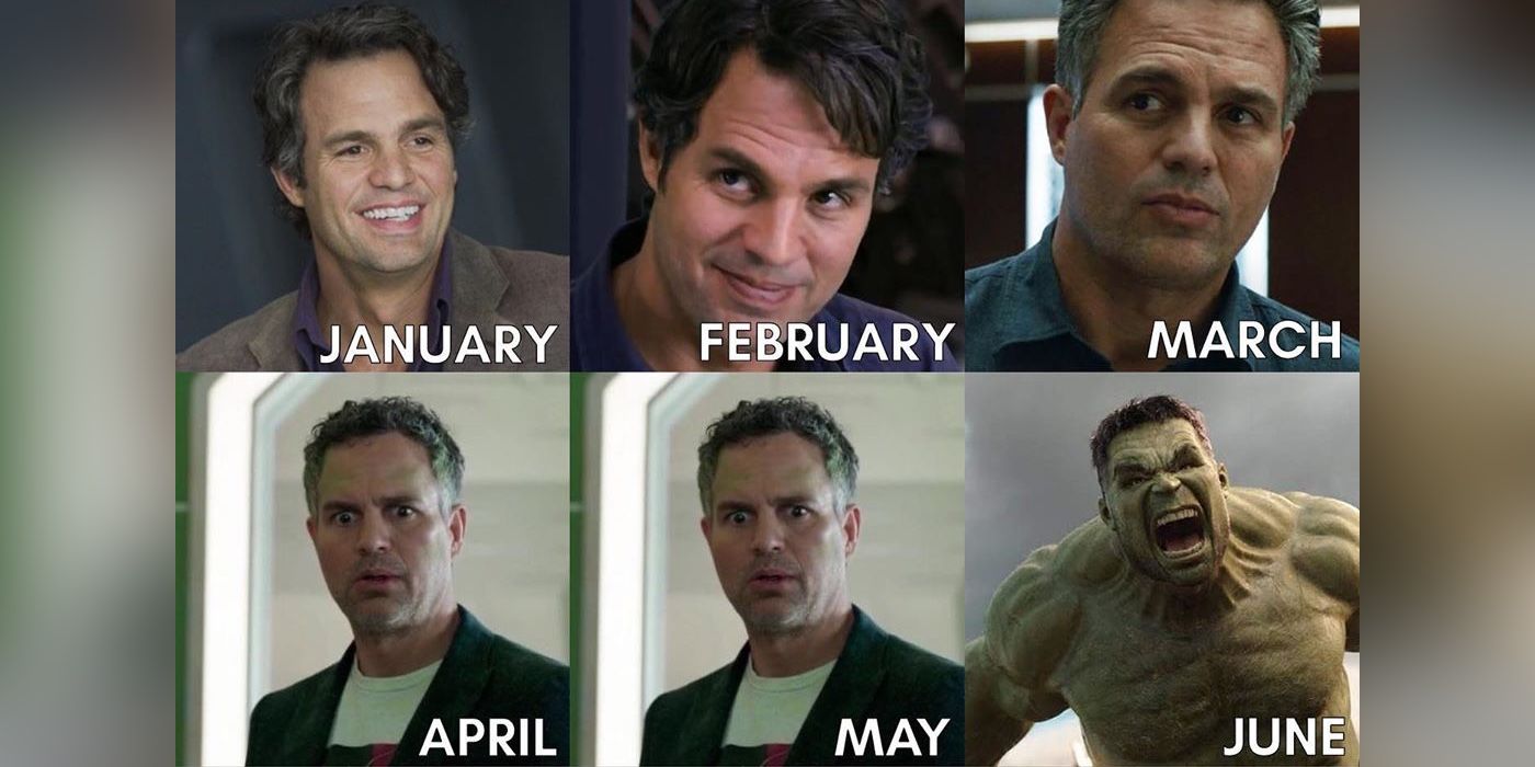 Mark Ruffalo Hulk 2020 Meme