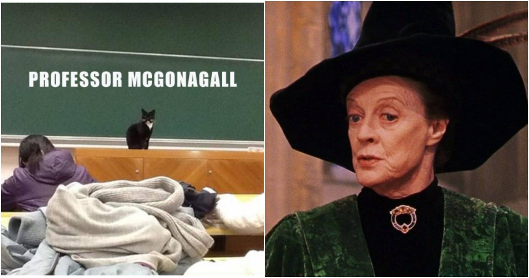 Professor mcgonagall memes