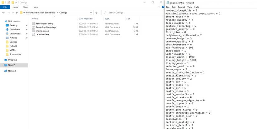 A desktop PC screen with the config file for Mount and Blade 2 open