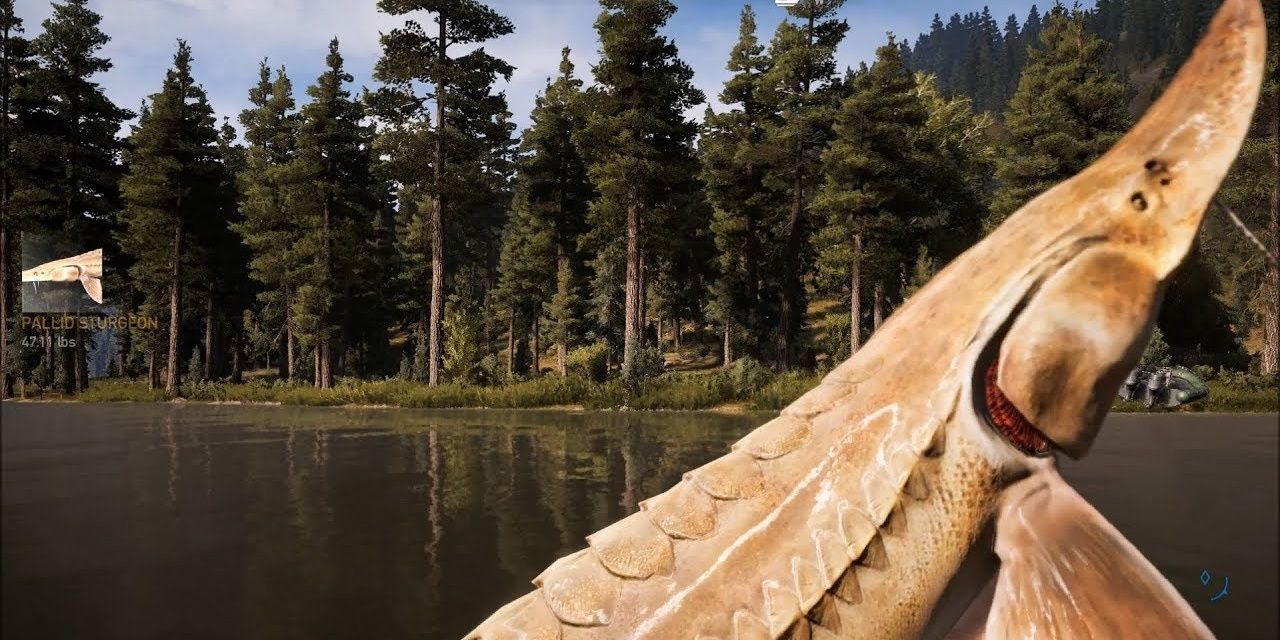 Far Cry 5: Every Fishing Record & Where To Beat Them