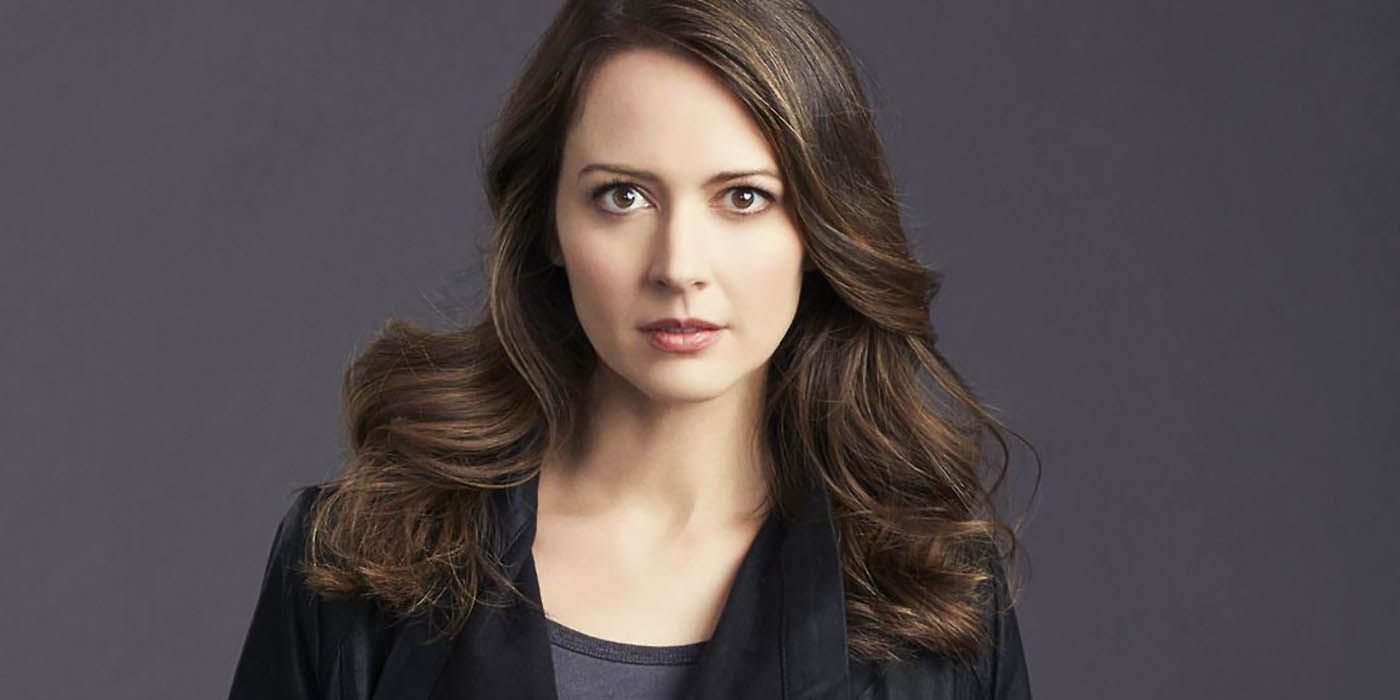 Person of Interest Amy Acker Root