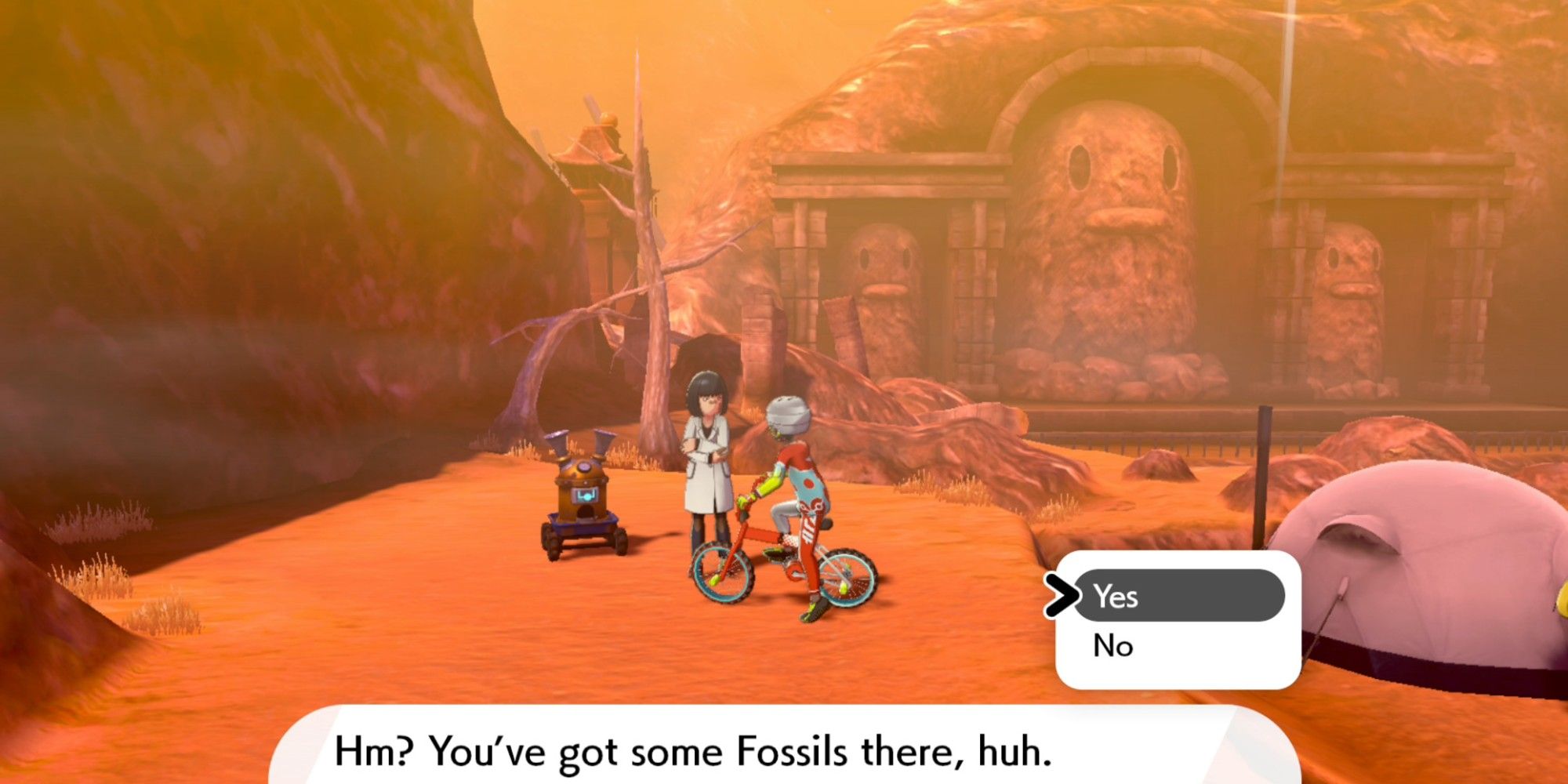 The Scientist on Route 6 takes fossils and turns them into Pokemon in Pokemon Sword &amp; Shield
