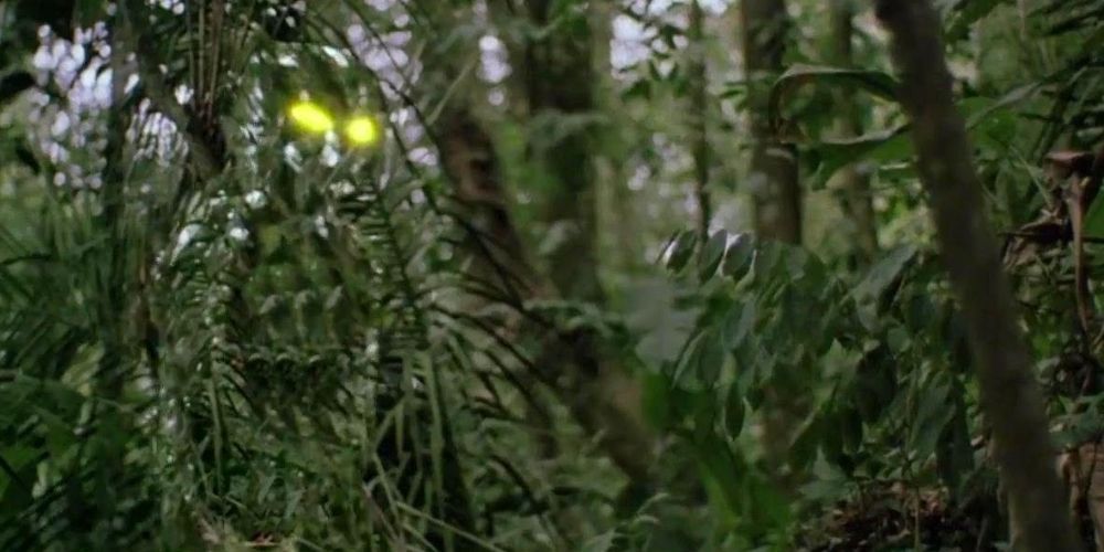 Predator's Yautja using its invisibility power in the jungle