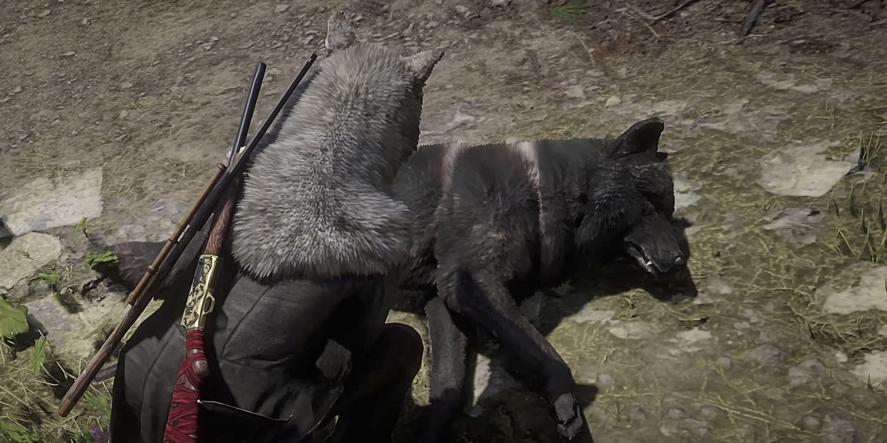 Where to Find The Legendary Onyx Wolf Location in Red Dead Online