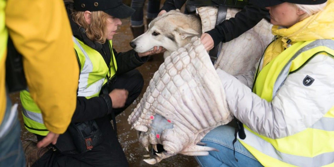 Saxon Corellian Hound Solo A Star Wars Story
