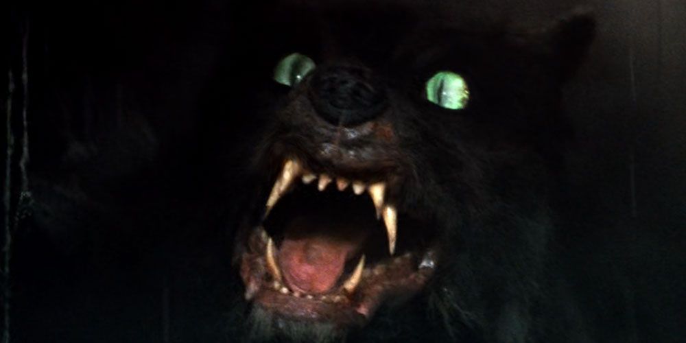 A black wolf in The NeverEnding Story
