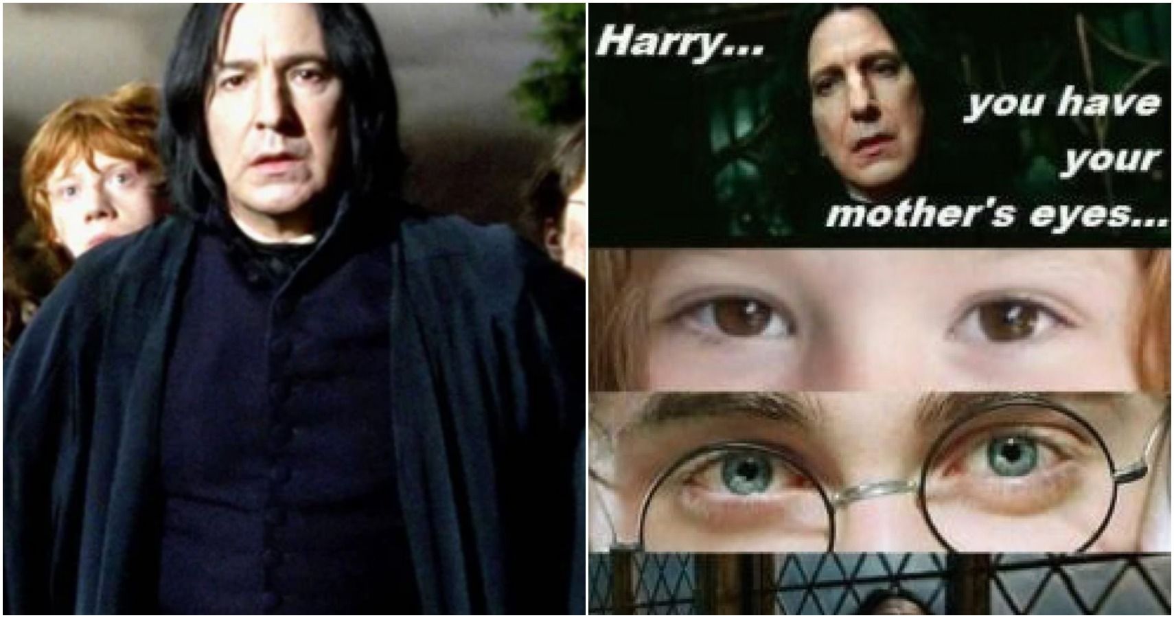 Harry Potter 10 Memes That Prove Snape Was The Real Hero