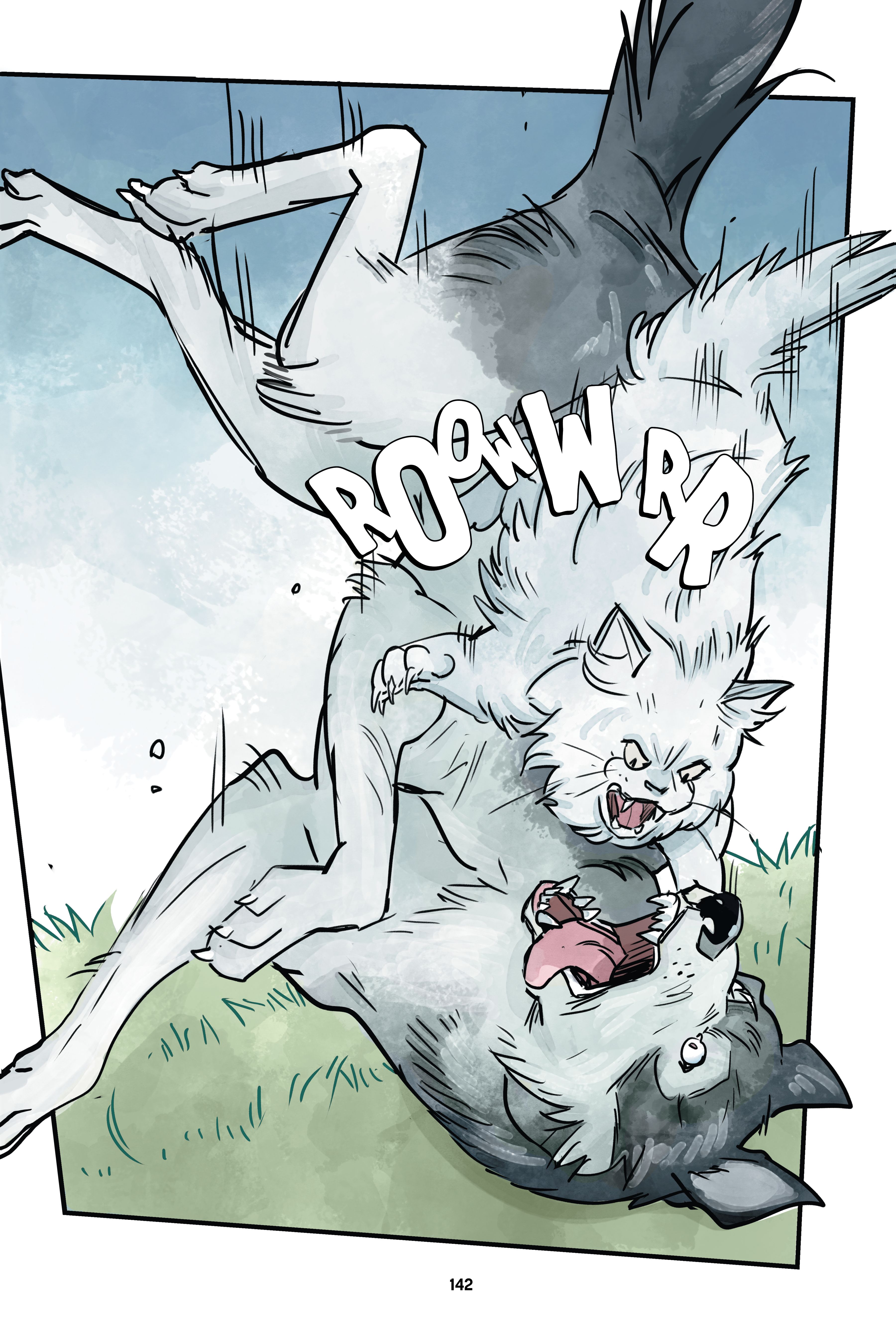 TT_1_BEASTBOY_PRINT_5