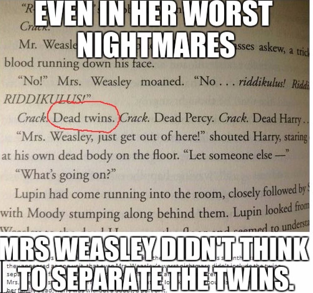 The Twins