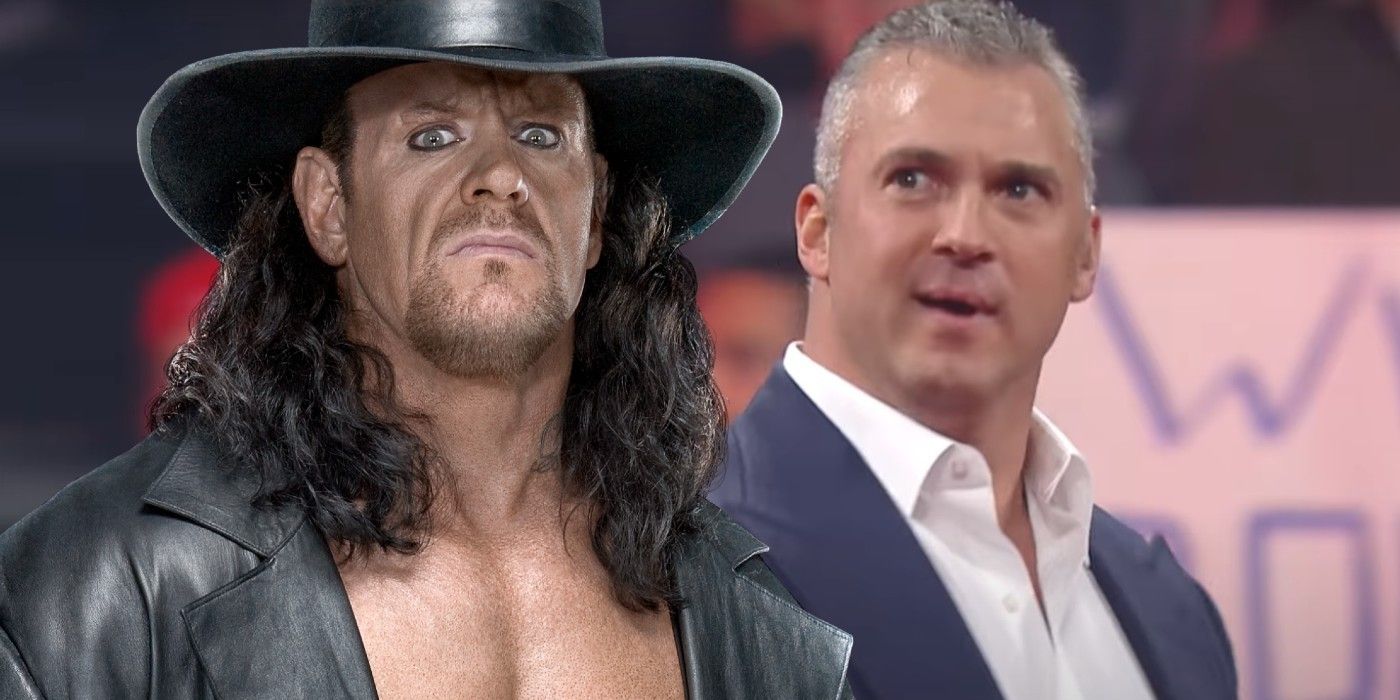 The Undertaker and Shane McMahon in WWE