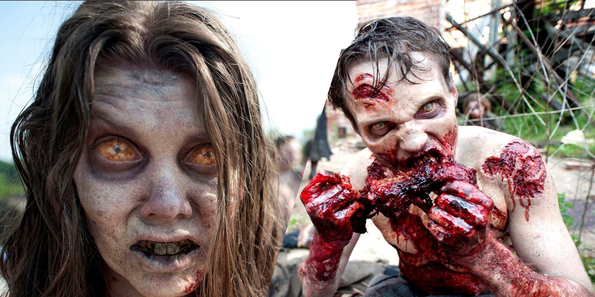 All Things TWD/ Zombies/ Zombie Shows & Movies