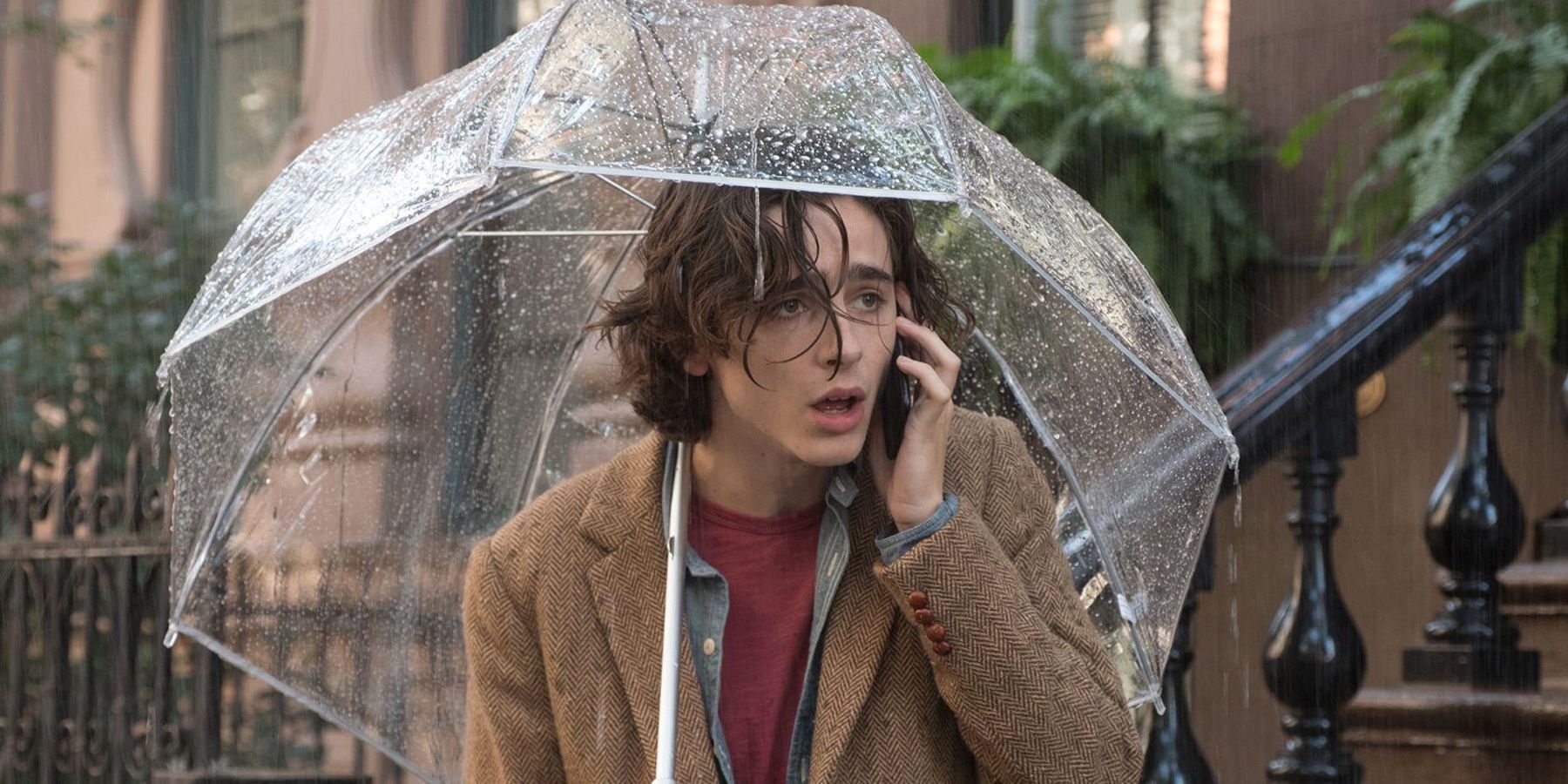 Gatsby on his phone under an umbrella in A Rainy Day In New York