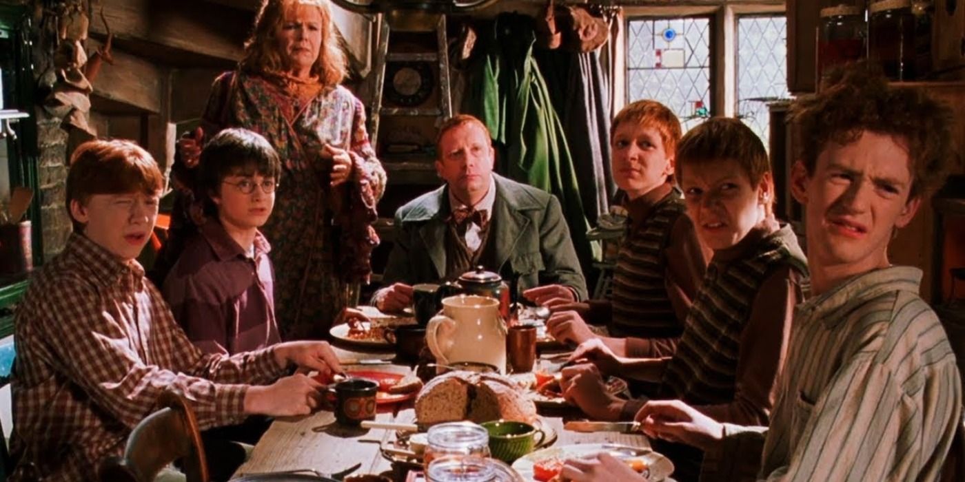 Harry Potter and the Weasleys at the Burrow