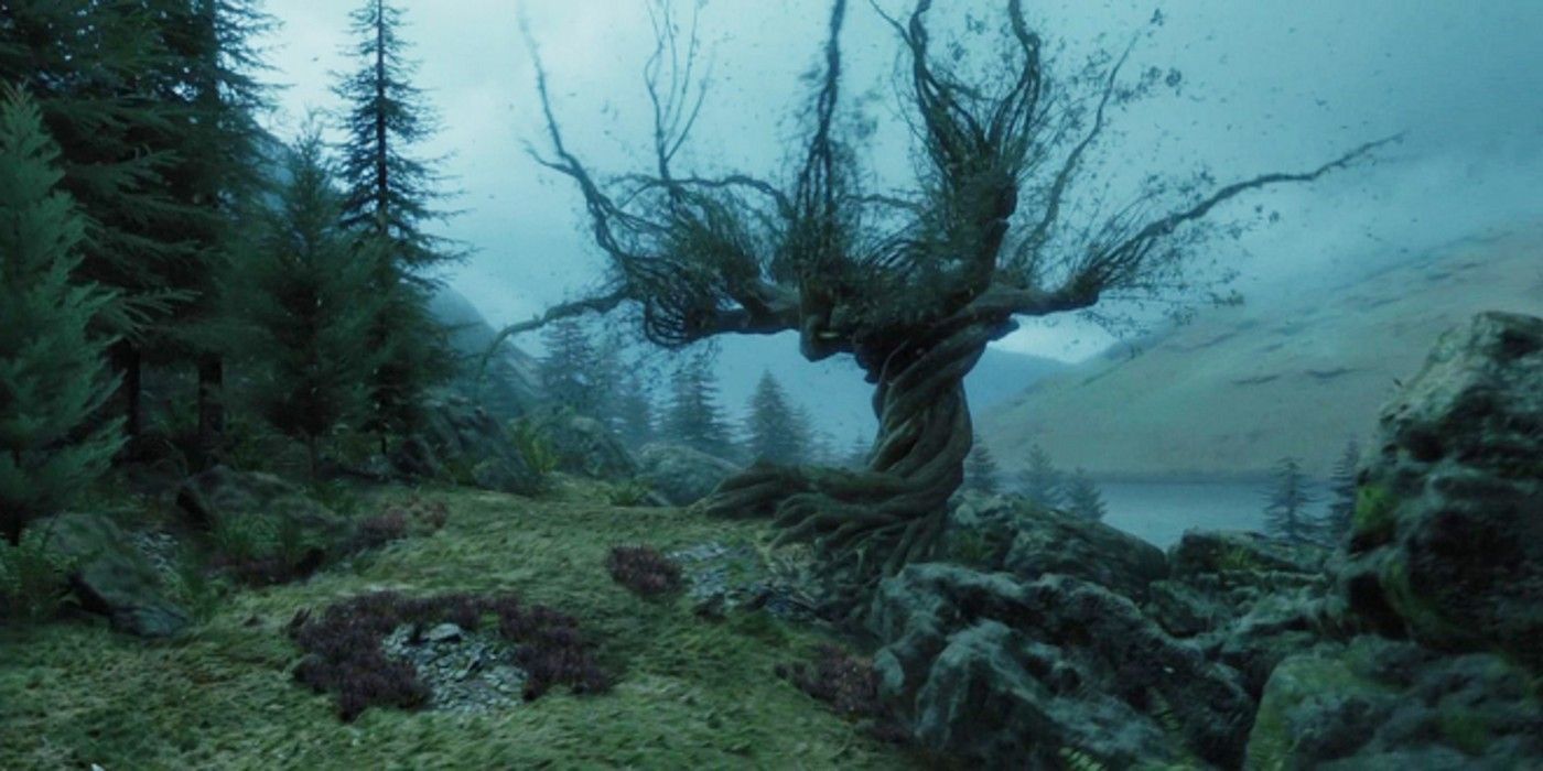 The twisted tree, the Whomping Willow, in Harry Potter