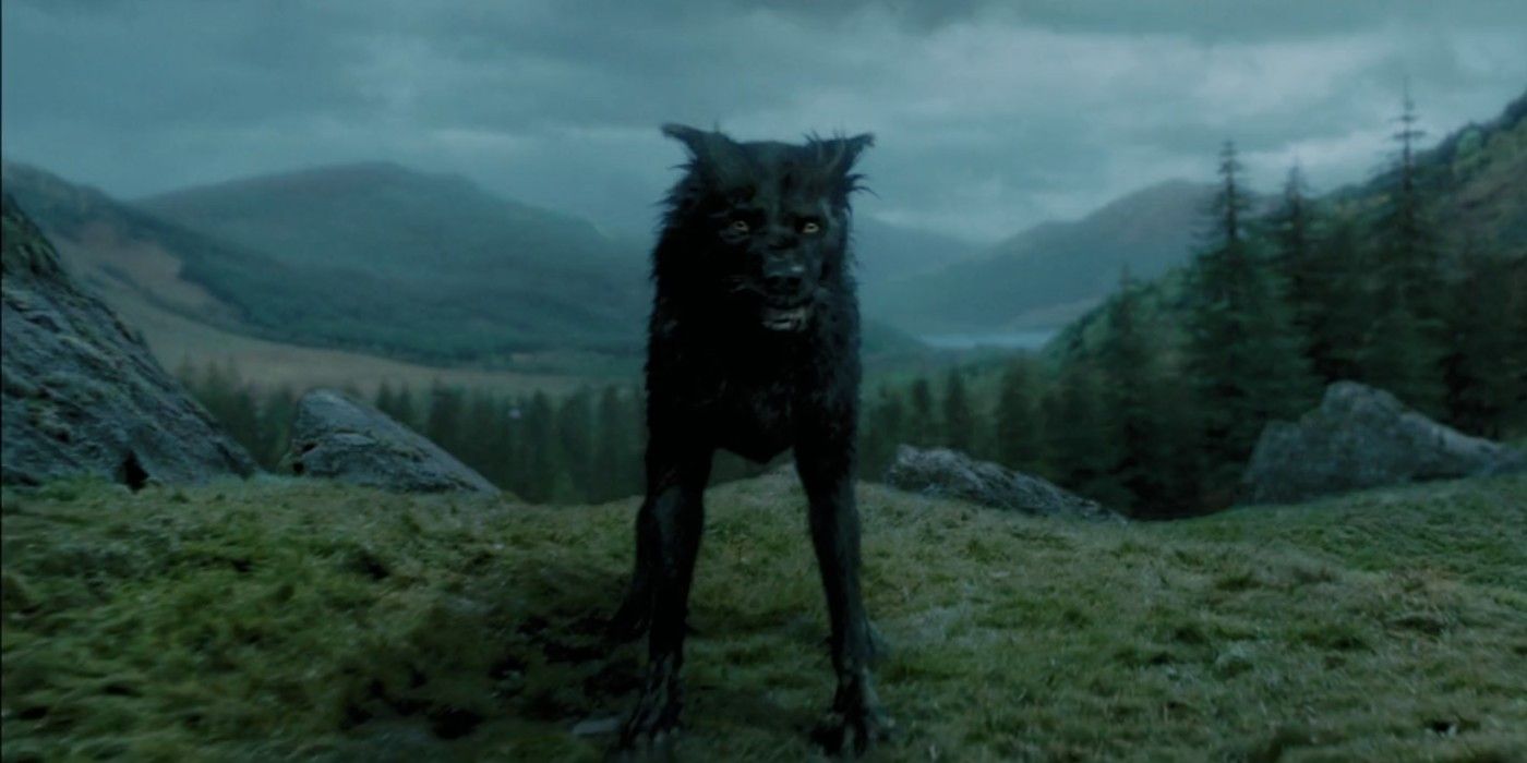 Harry Potter 5 Times Magical Creatures Saved The Day (& 5 Times Muggle