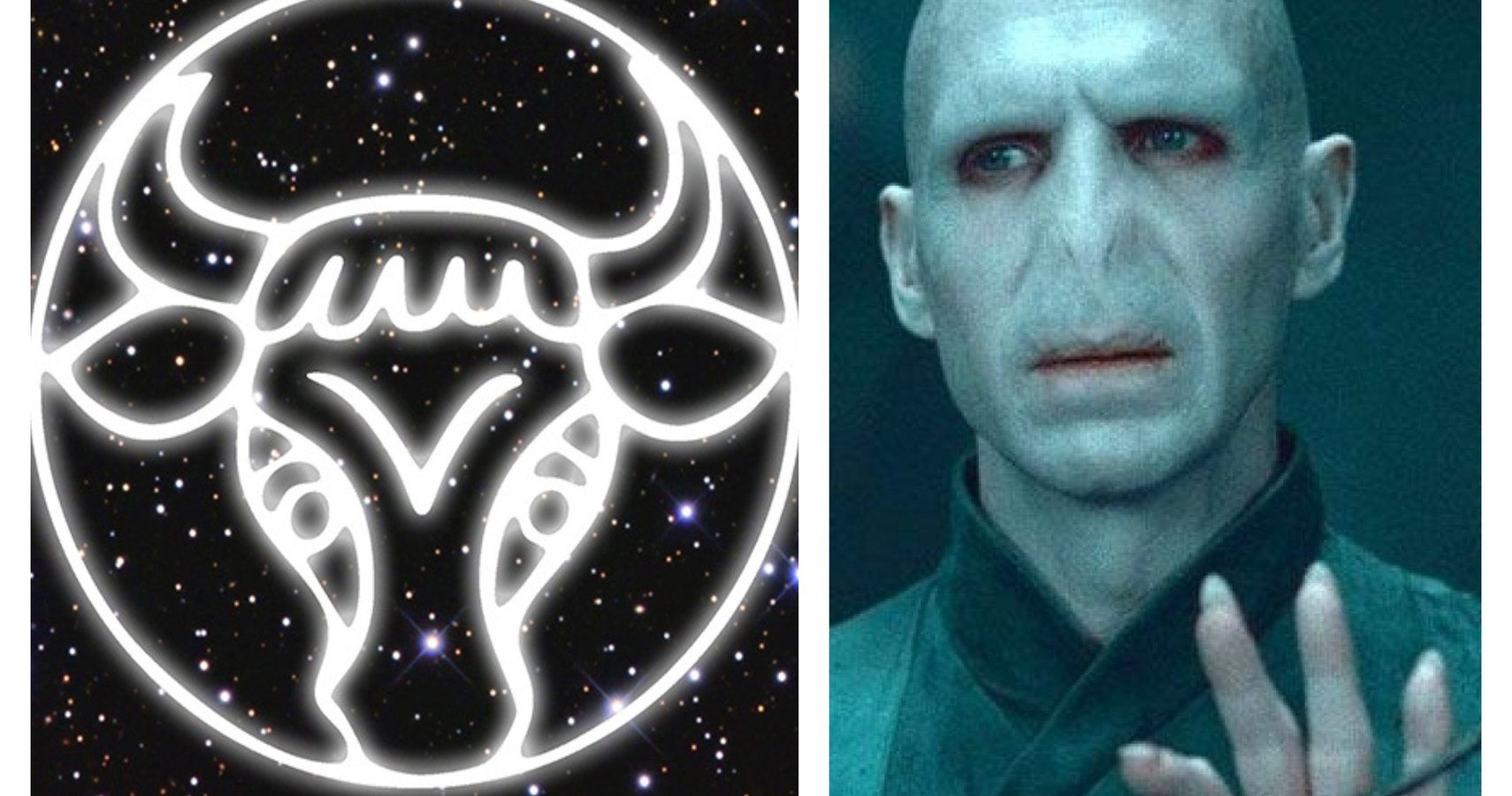 Harry Potter: 5 Spells & Charms Taurus Would Master (& 5 They Would Fail At)