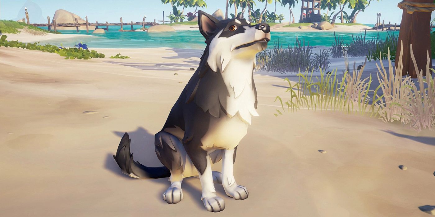 sea of thieves dogs