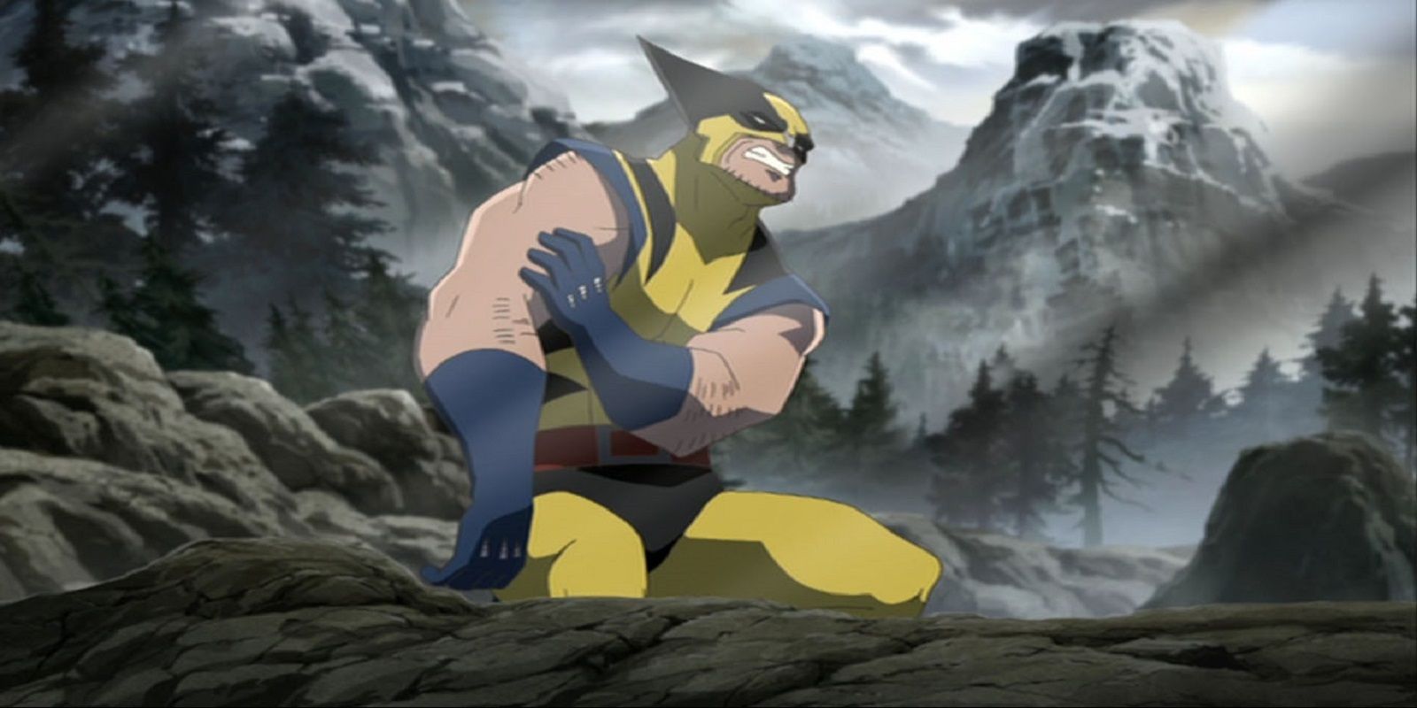 Wolverine in Hulk Vs