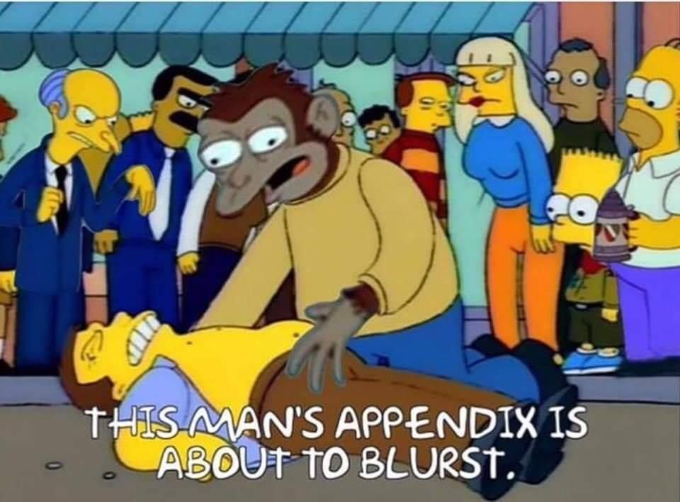 Simpson's monkey blurst meme