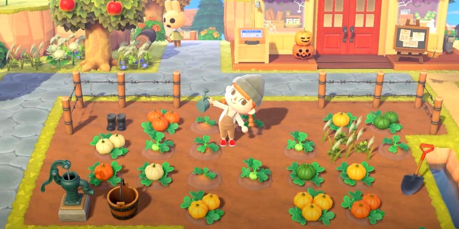 A player farms pumpkins in a pumpkin patch in Animal Crossing: New Horizons