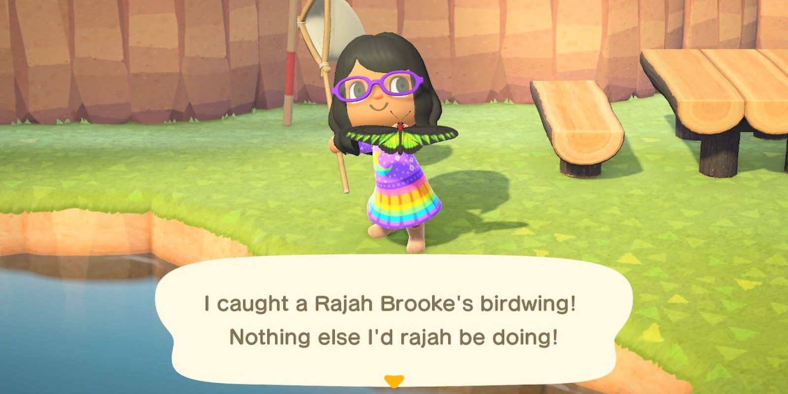 A player catches a Rajah Brooke&rsquo;s Birdwing in Animal Crossing: New Horizons