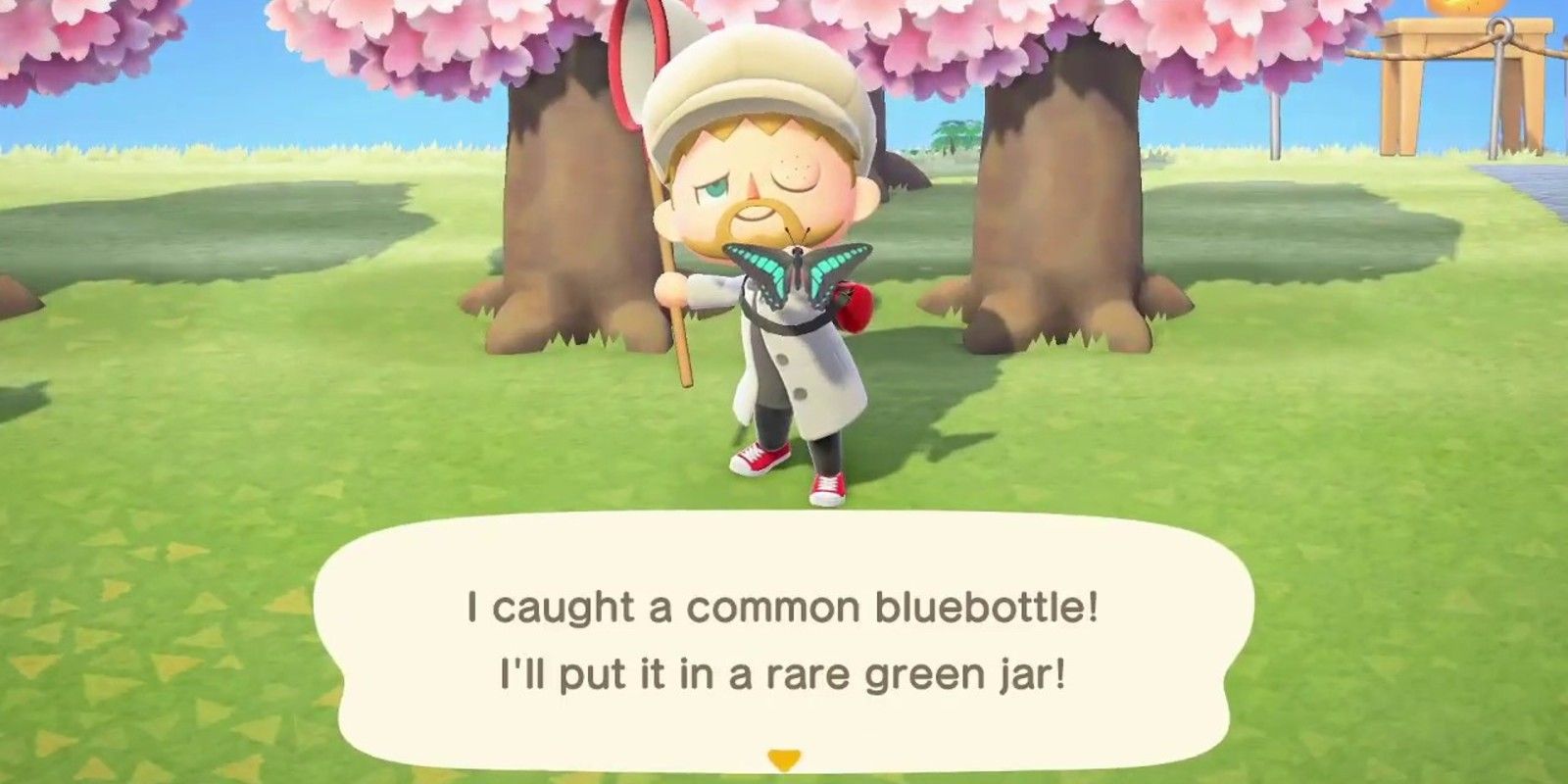A player catches the common bluebottle in Animal Crossing: New Horizons