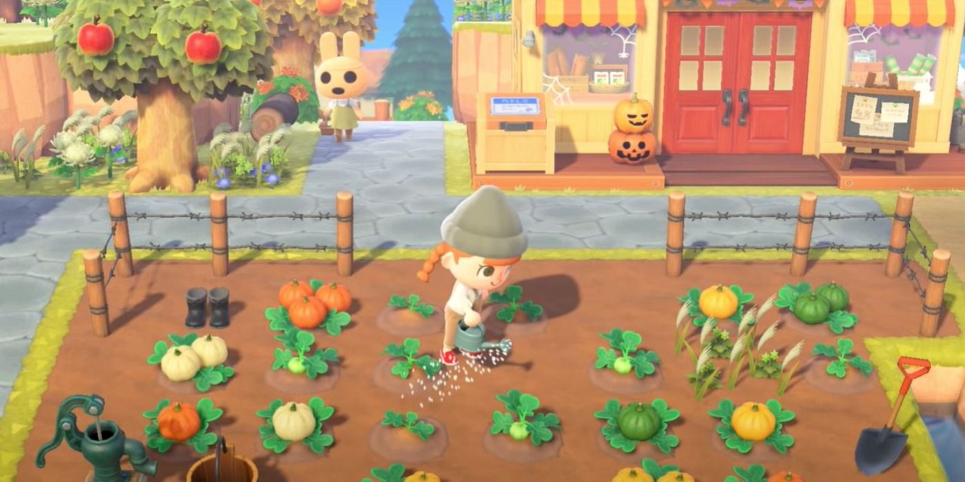 Will Animal Crossing Fans Enjoy Story of Seasons’ New Game