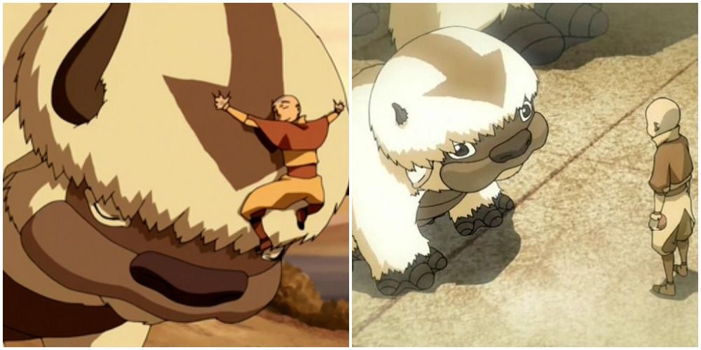 Appa and Aang in the past and present in Avatar The Last Airbender