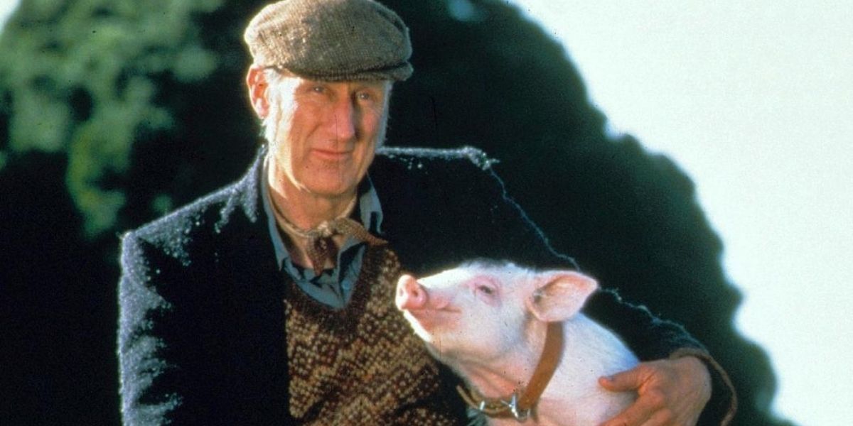 Babe the Pig and his owner from the 1995 film
