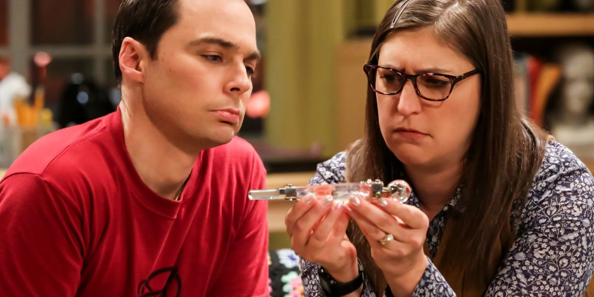 Big Bang Theory The Hofstadters Wedding Gift To Sheldon Amy Explained