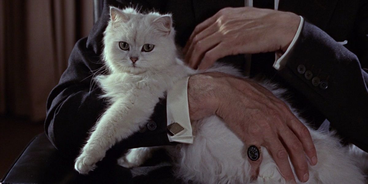 Blofeld strokes his cat in From Russia with Love