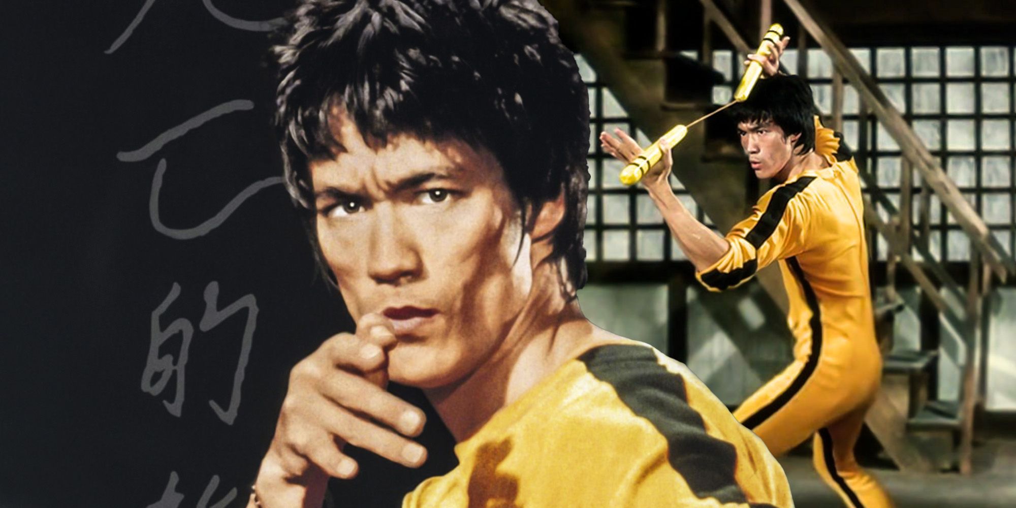 bruce lee the true game of death