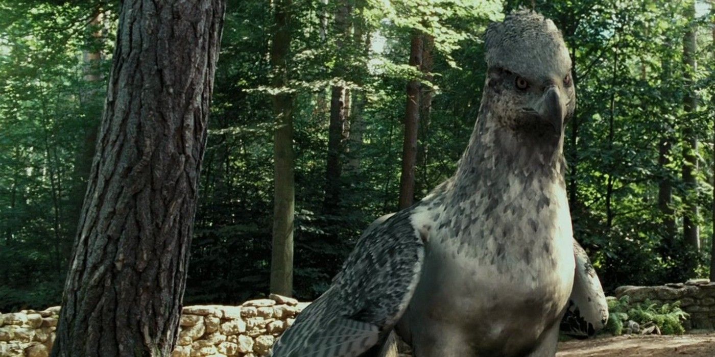 Buckbeak the Hippogriff in Harry Potter and the Prisoner of Azkaban