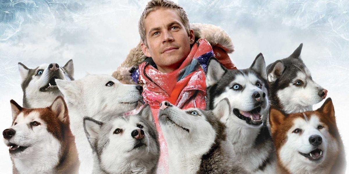 The 10 Best Animal Movies Of The Last 30 Years According To IMDb