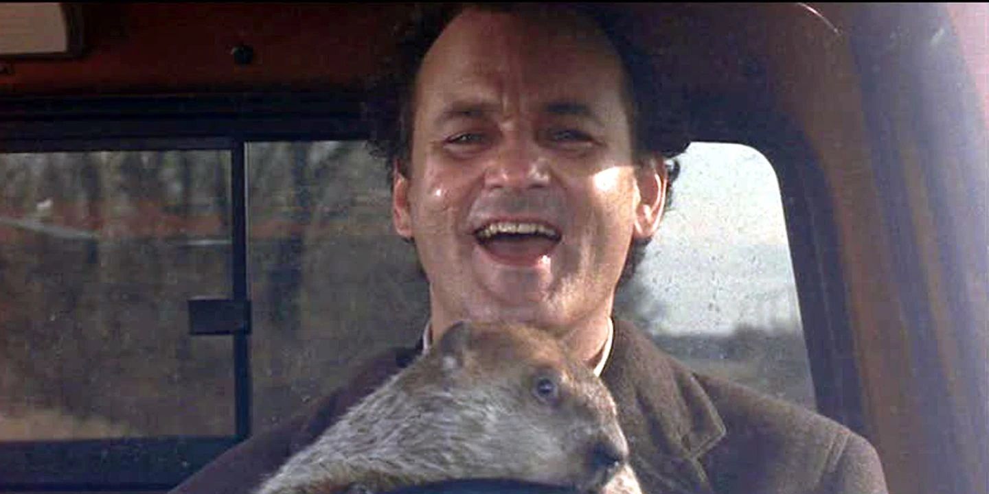 Phil laughs while driving on Groundhog Day.